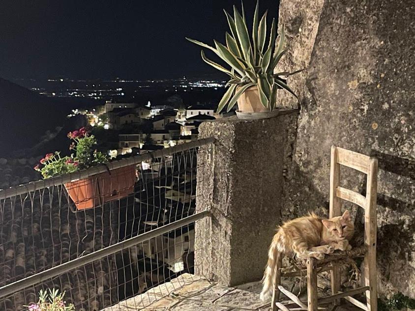 B&B Dhafna Civita Esterno foto